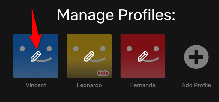 Can You Set a Custom Profile Picture on Netflix?