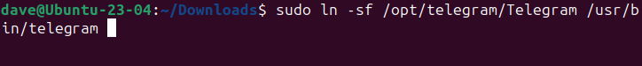 Creating a link from the downloaded files to the /usr/bin directory