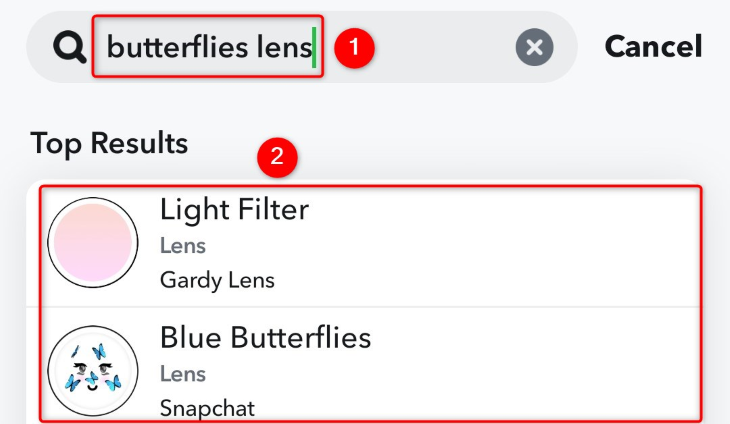 Choose a butterflies lens.