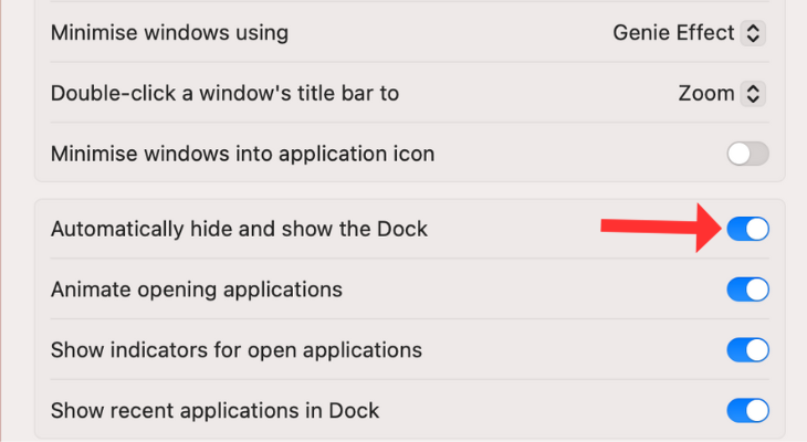Desktop &amp; Dock menu highlighting the Automatically hide and show the Dock option