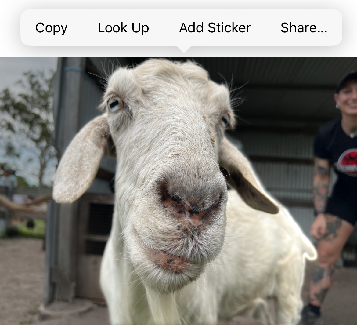 Unlock the Full Potential of Your iPhone with Eye-Catching Stickers!