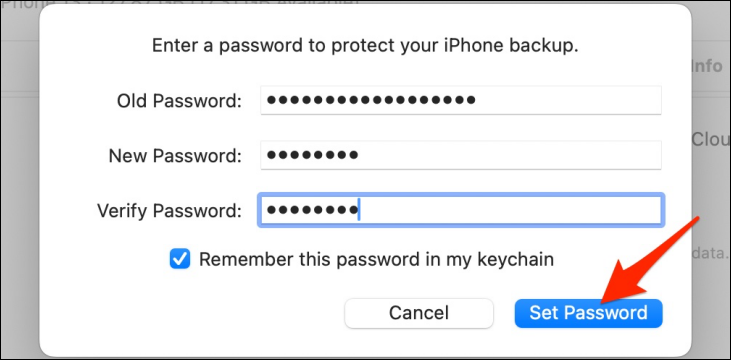 Type new password and tap Set Password