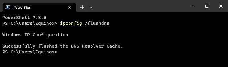 The DNS cache has successfully been flushed. 