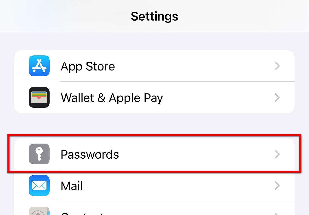 The Passwords option in the iOS settings menu.