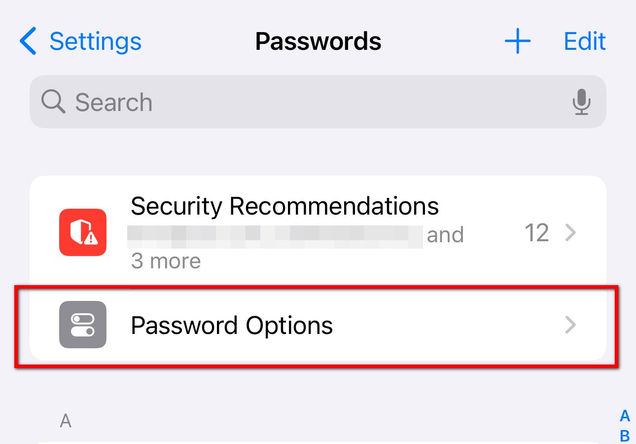 A screenshot of inside the Password menu, showing the Password Options.