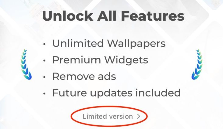 Choose Limited Version