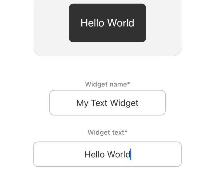 Type the text for widget.