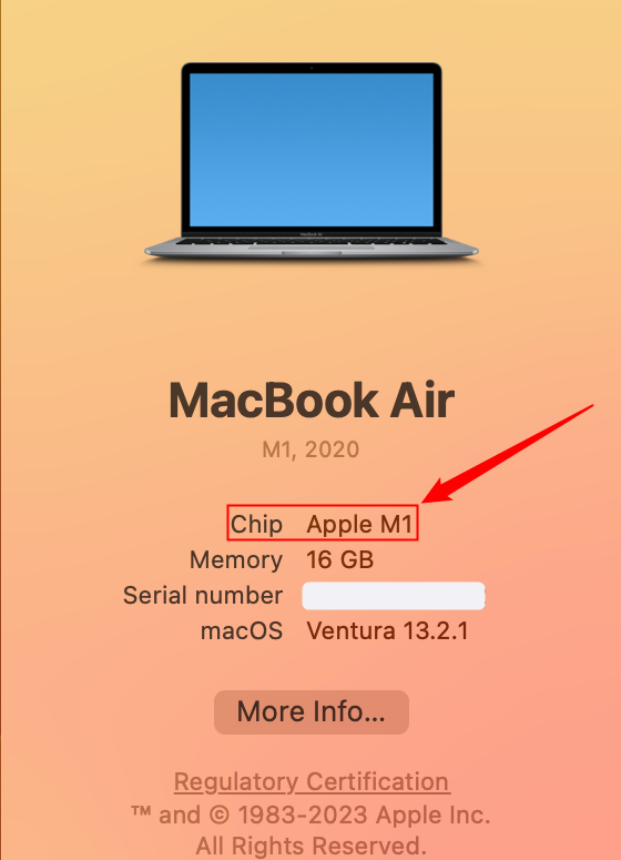 An M1 MacBook air. 