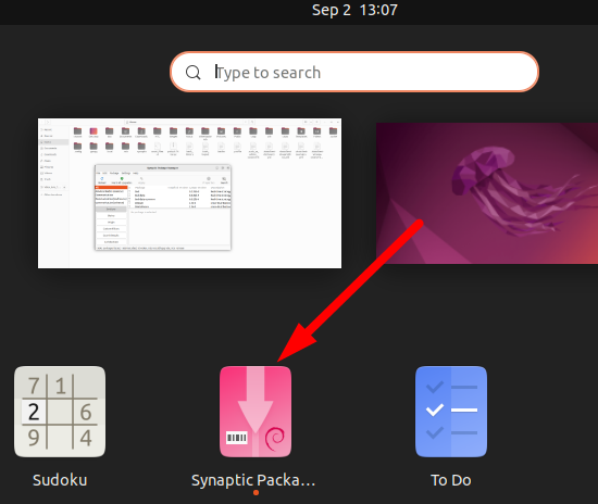 opening synaptic package manager