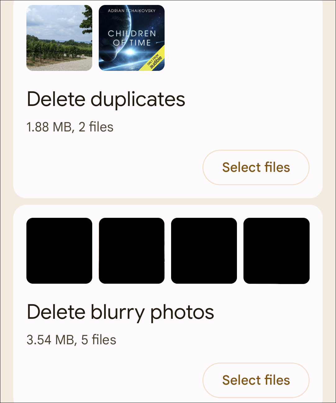 Types of files to delete.
