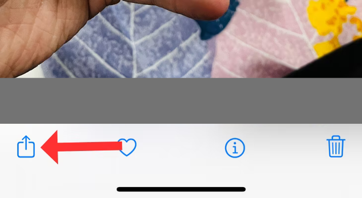 Photos app with an arrow next to the Share button