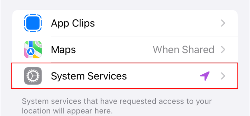 Tap "System Services." It is towards the bottom. 