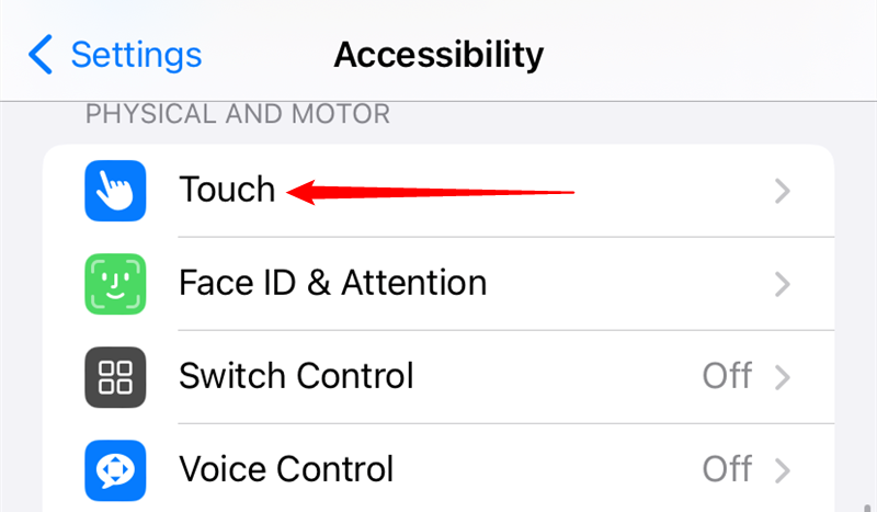 Scroll to the "Physical and Motor" section, then tap "Touch."