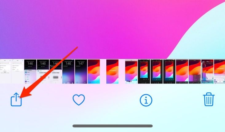 Tap Share button on the bottom left.