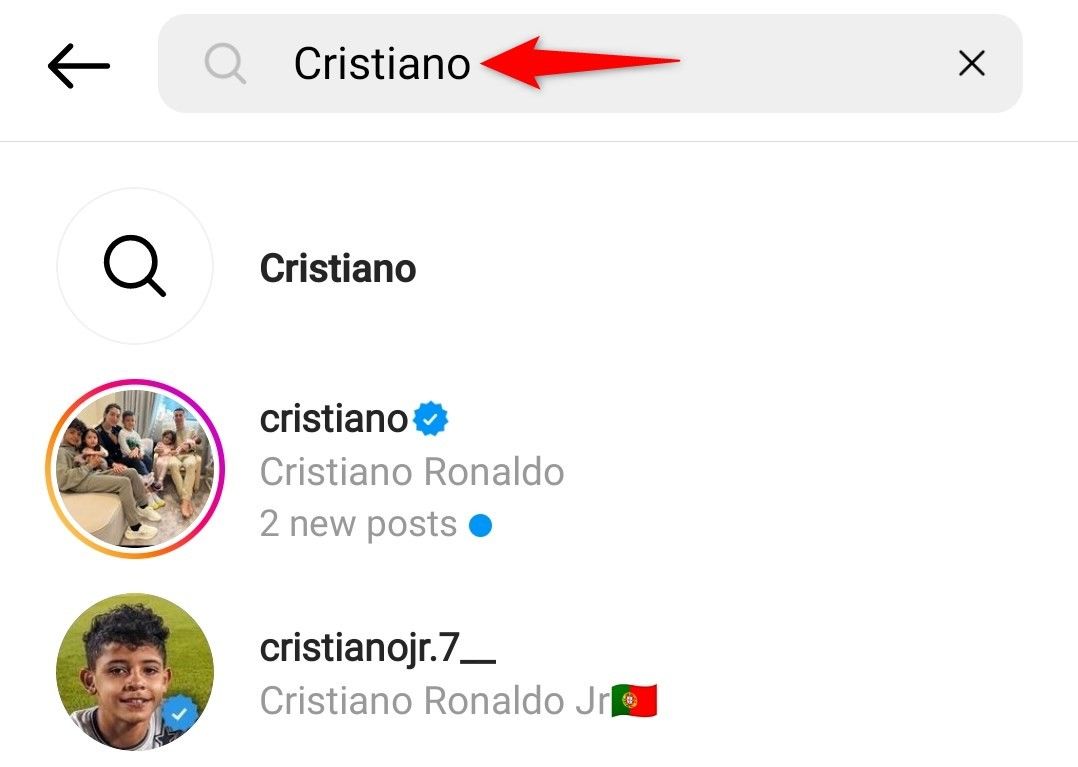 The search box highlighted in Instagram's mobile app.