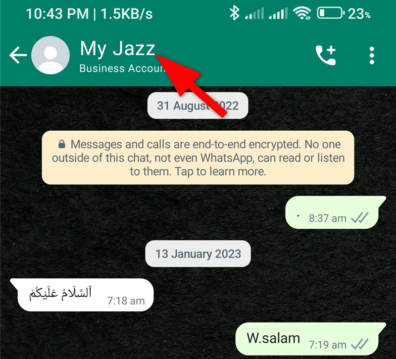 A WhatsApp chat is opened and an individual chat settings are opened
