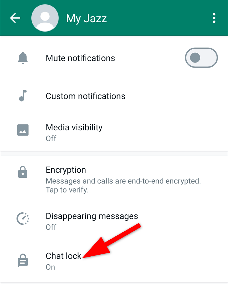 An individual WhatsApp chat settings with a chat lock option enabled