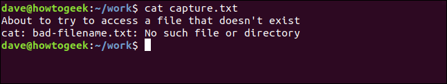 Capture.txt correctly contains the output of both stderr and stdout. 