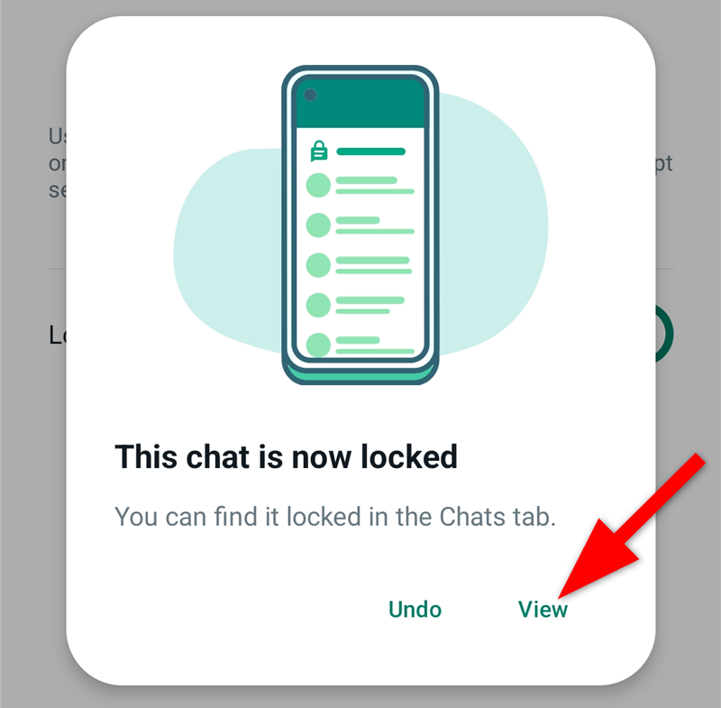 A popup that describes the chat is locked and gives the option to view all locked chats