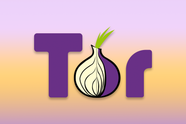 Tor Browser Has A New WebTunnel Feature To Avoid Censorship