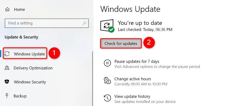 Windows update settings showing the Check for Updates button.