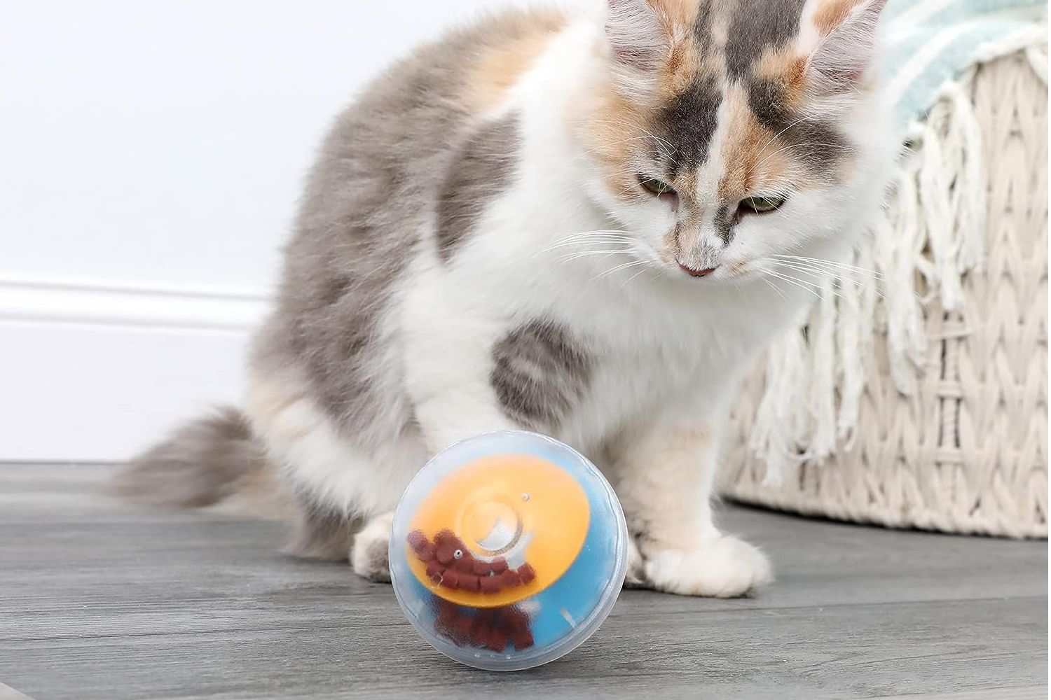 Pet Zone IQ Treat Ball for Cats