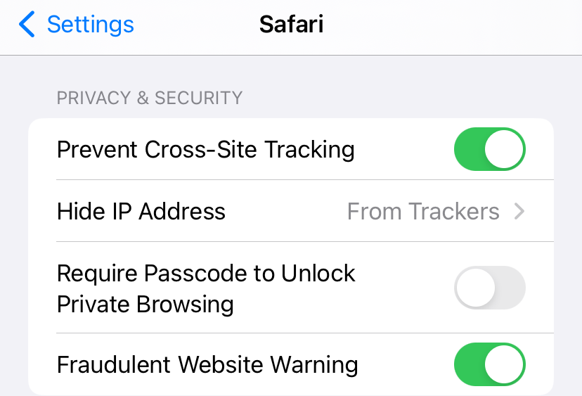 Make sure Safari fraudulent website warning is active. 