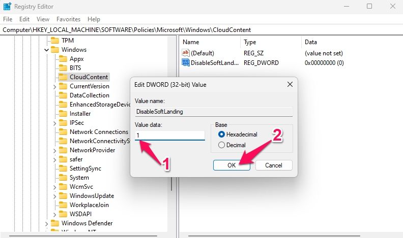 Set the value data of the DWORD value as 1 and click Ok to save the changes
