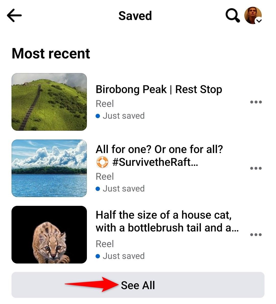 'See All' highlighted on Facebook mobile app's 'Saved' screen.
