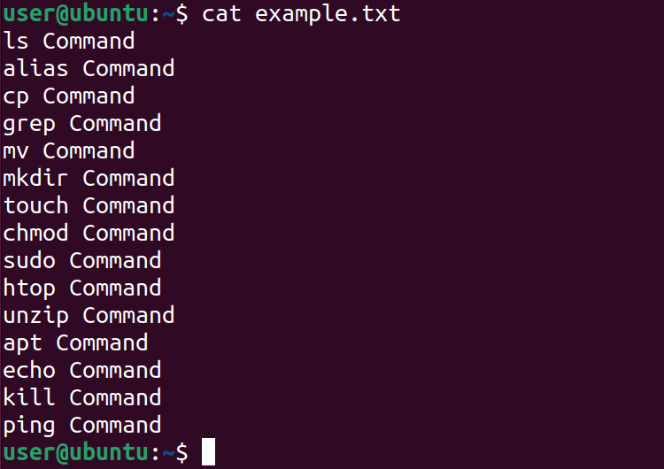 example text file contents are displayed on the terminal using the cat command