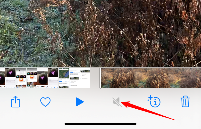 The grey icon indicates that there is no audio attached to a video. 