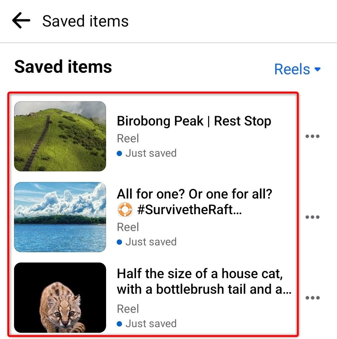 Saved Reels highlighted in Facebook's mobile app.