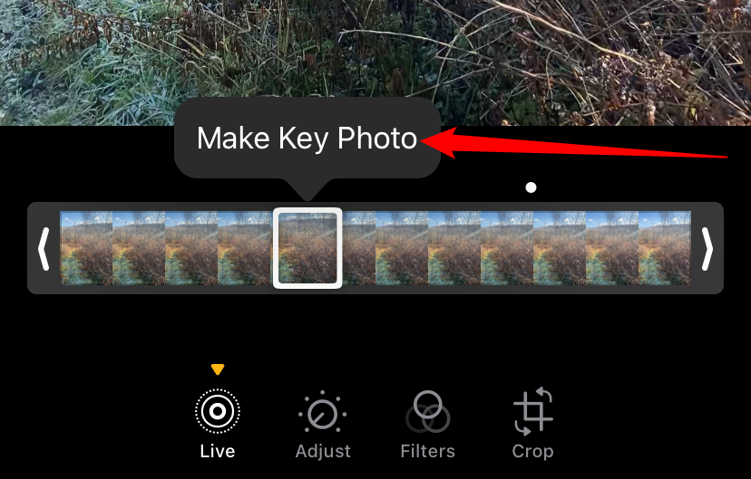 Tap "Make Key Photo" once you find the image you like. 