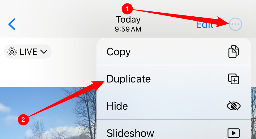 Tap the three-dot menu icon, then tap "Duplicate."