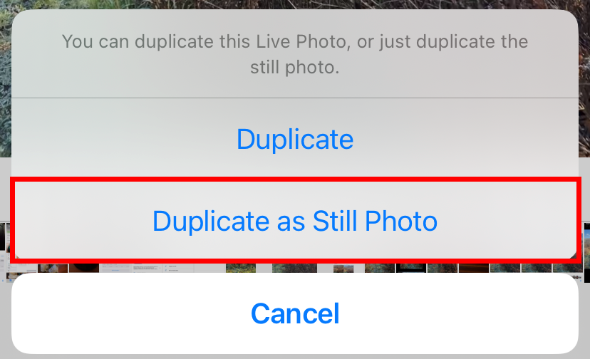 Tap "Duplicate as Still Photo." 