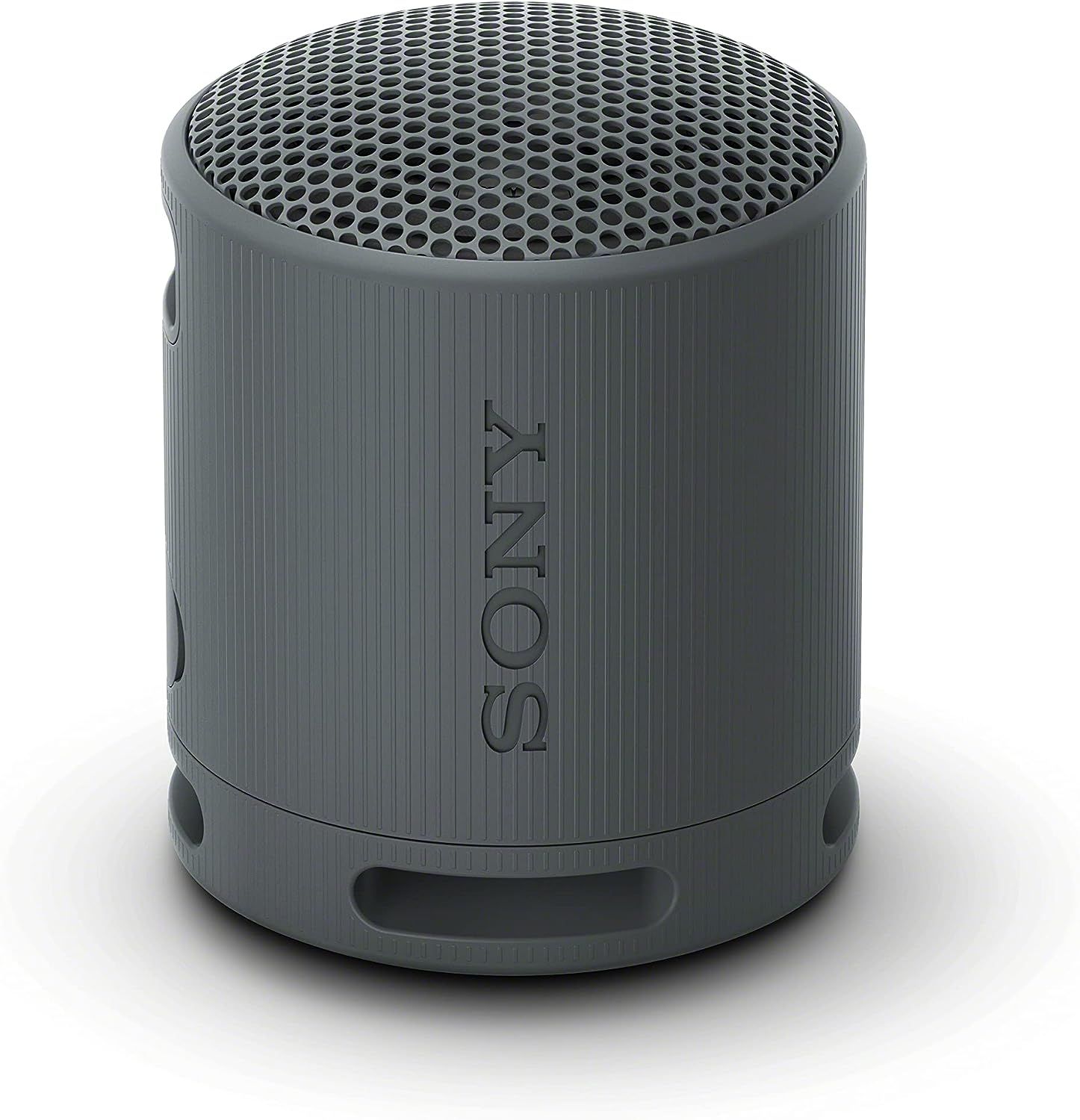Gray Sony SRS-XB100 Portable Speaker on a white background