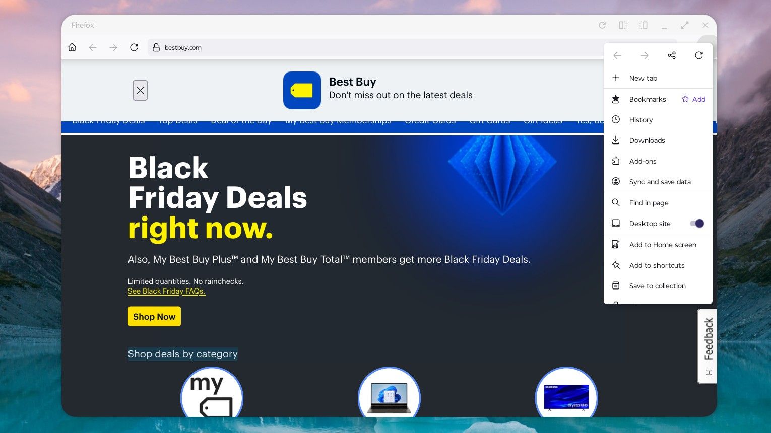 Best Buy webpage open with awkward text scaling.