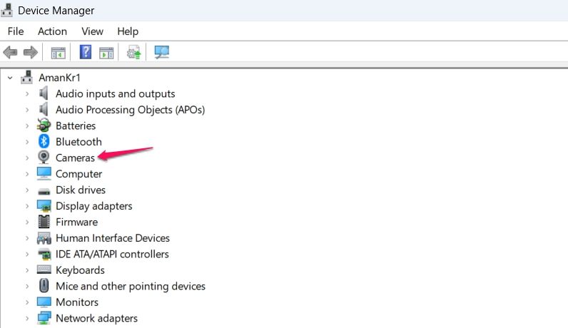 Cameras node in the Device Manager