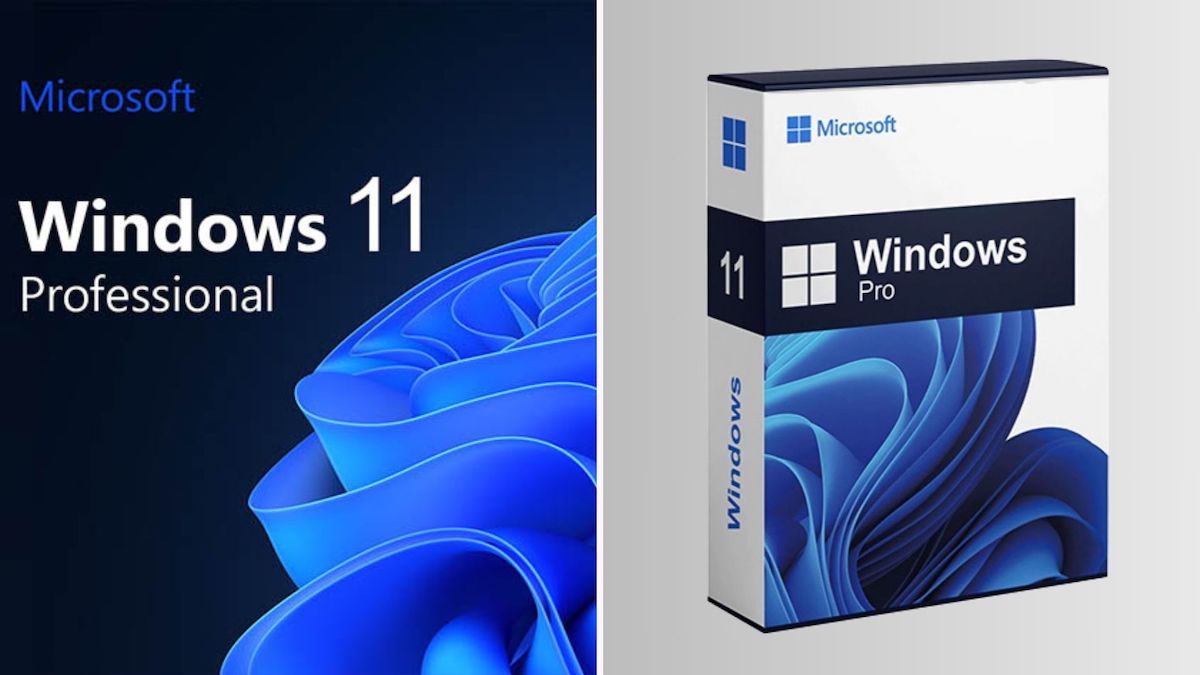 Windows 11 Professional logo next to a Windows 11 Pro software box