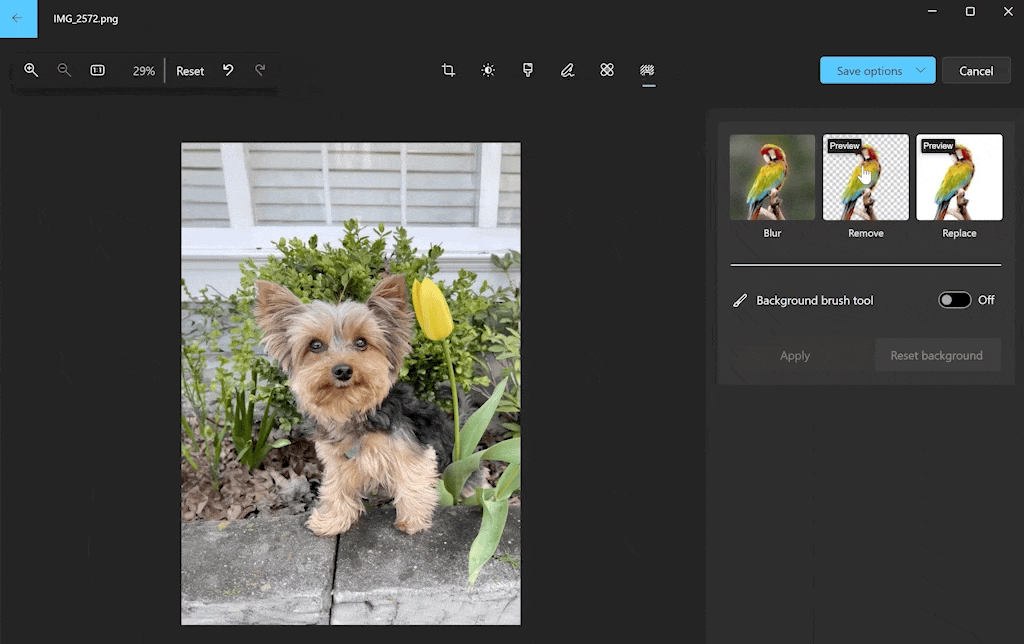 Removing background in Windows Photos
