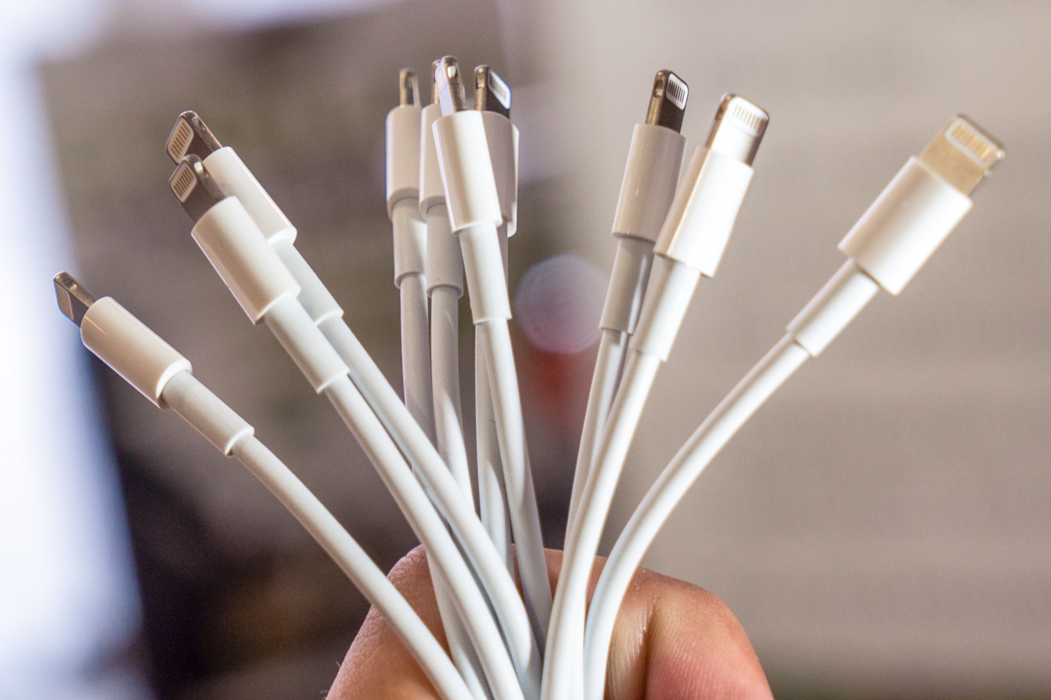 A person holding bunch of white 8 pin lightning usb cables.