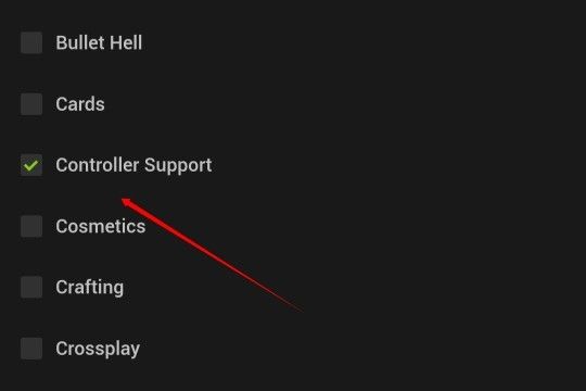 The 'Controller Support' tag within MiniReview.