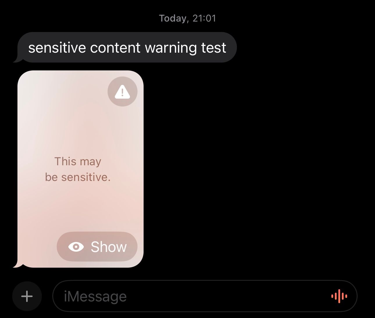 Sensitive Content Warning message inside iMessage on iPhone.