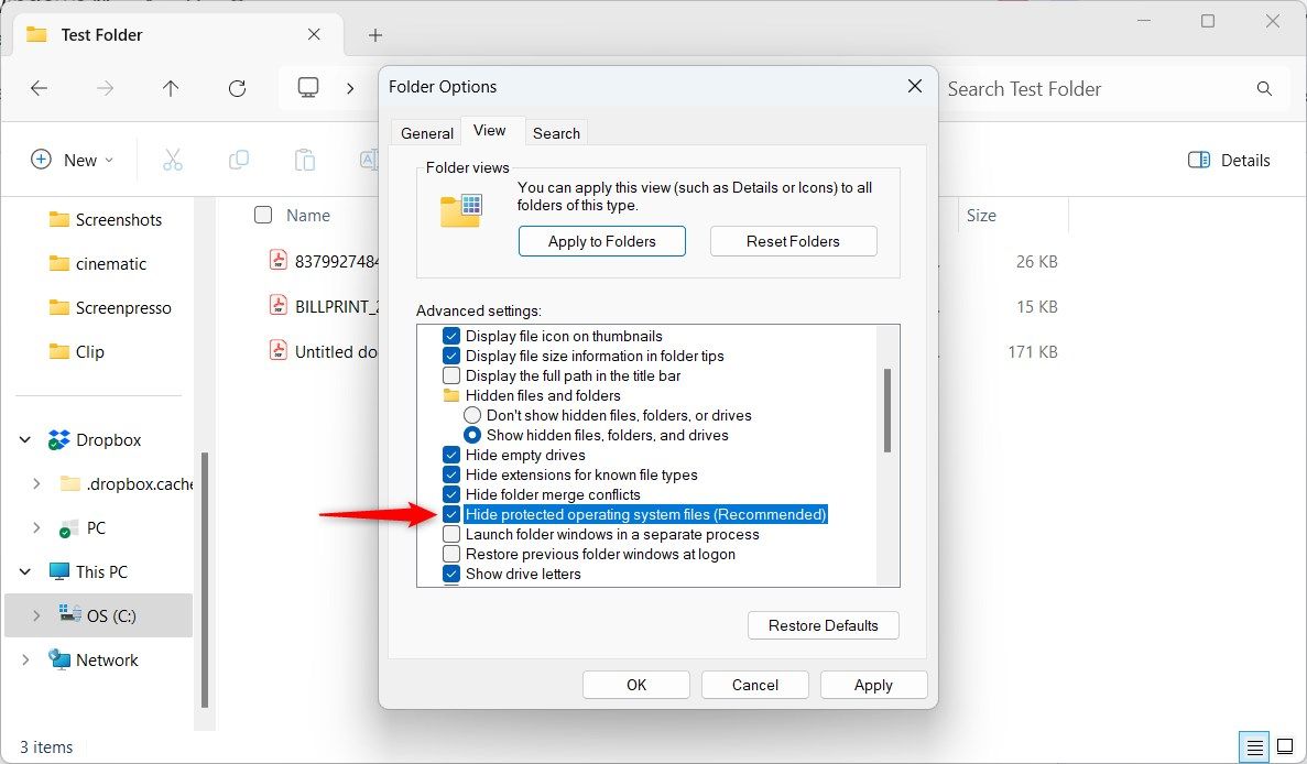 Windows 11 Folder Options Hide Protected OS Files Option 