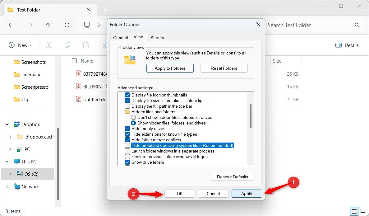 Windows 11 Folder Options Window Apply OK Option