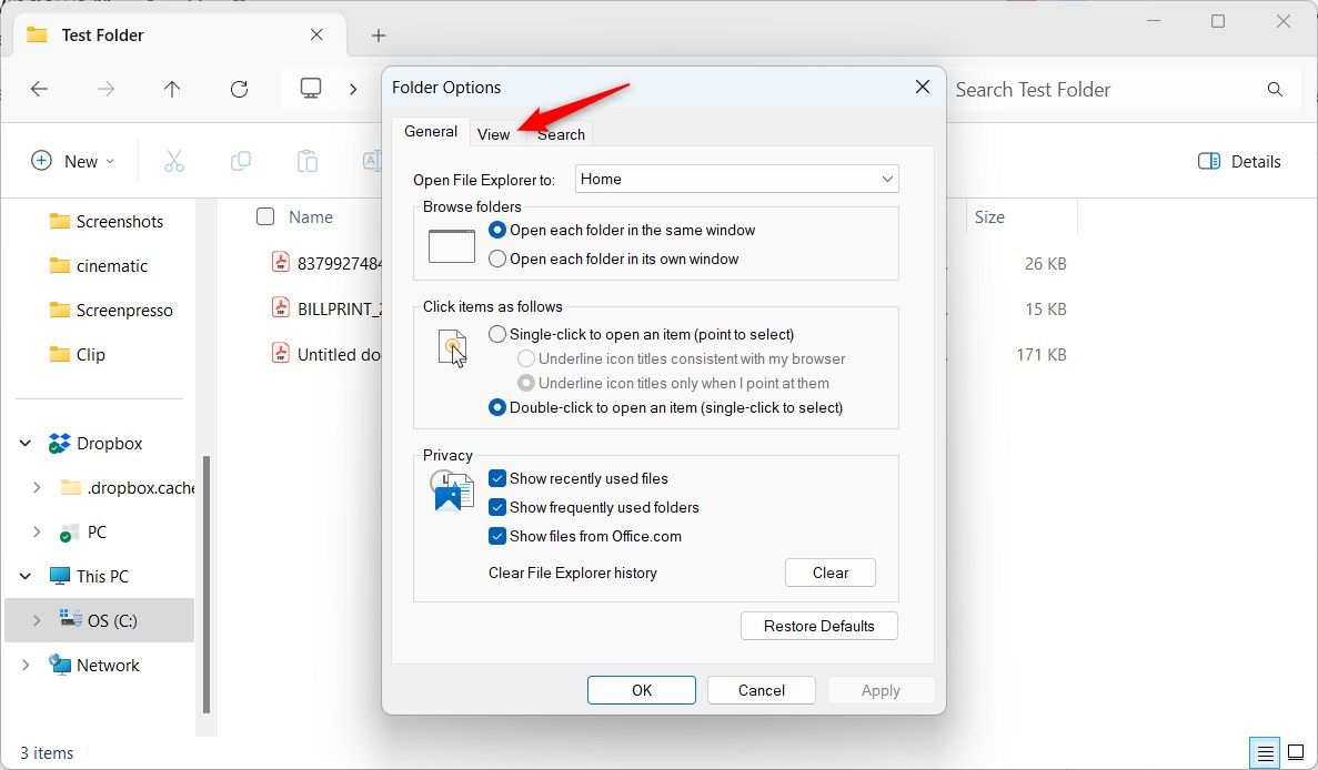 Windows 11 File Explorer Folder Options View Tab