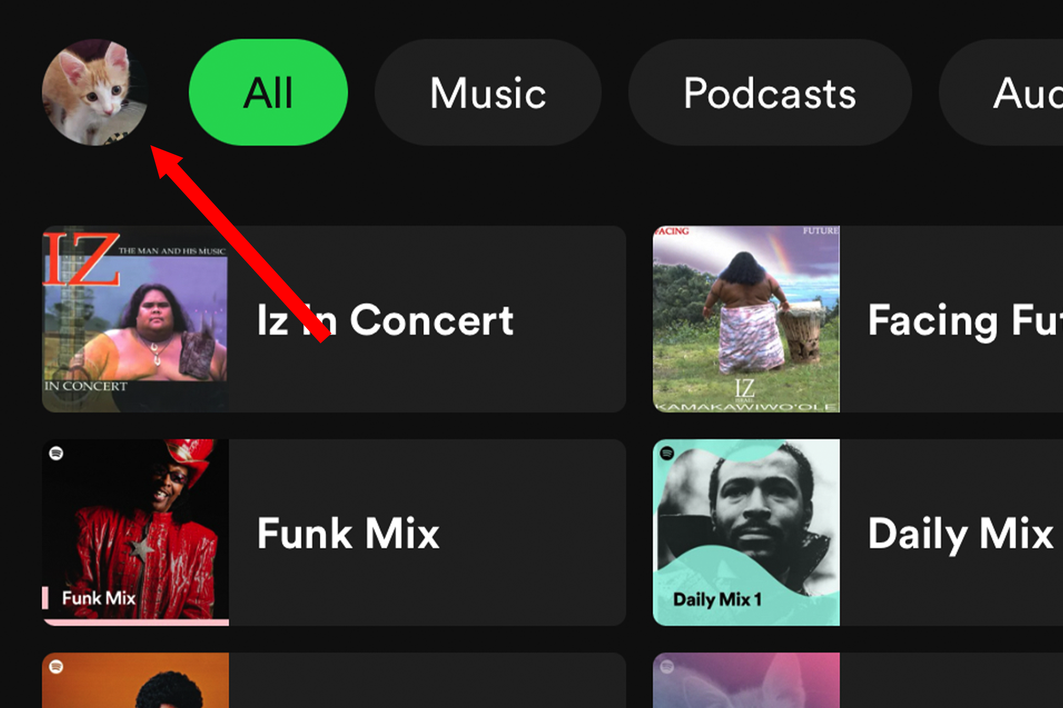 Opening the user profile sidebar in Spotify's mobile app.