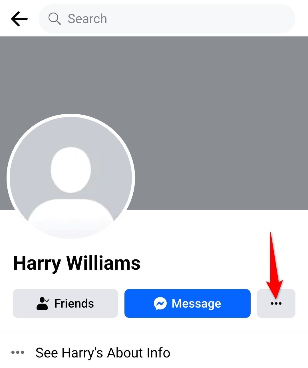 Three-dot menu highlighted on a profile page in Facebook's mobile app.