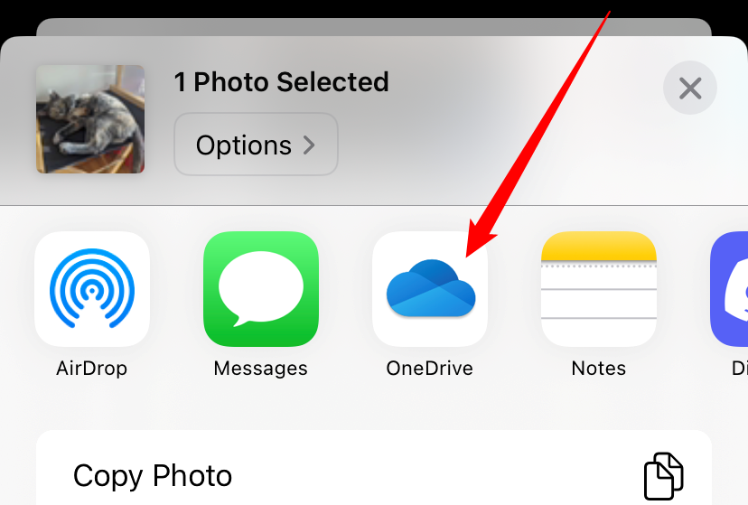 Tap the "OneDrive" icon to upload the images to a OneDrive folder. 