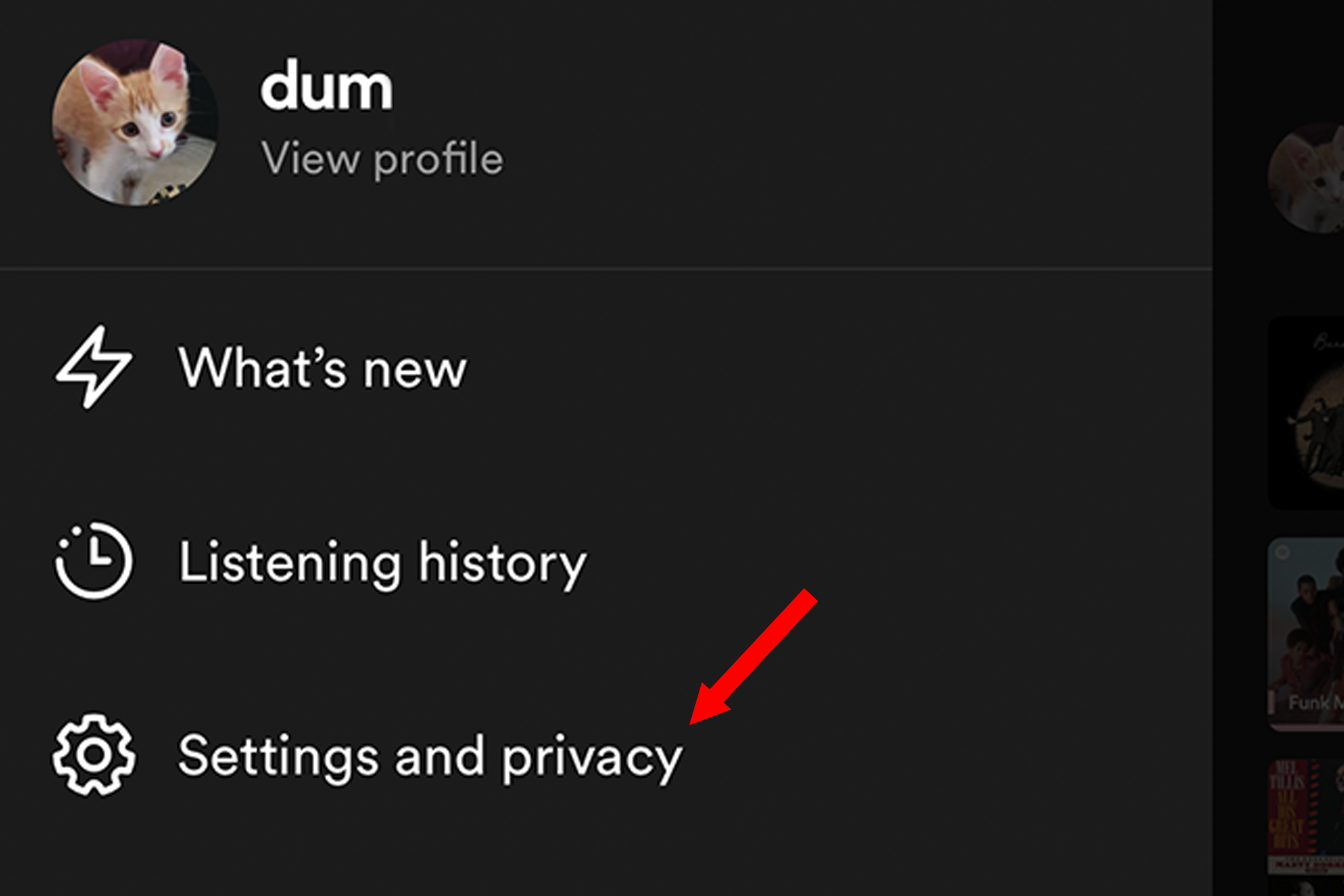 Entering the Settings and Privacy panel in the Spotify mobile app.